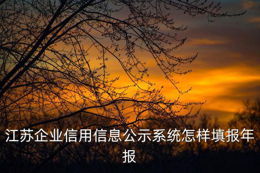 江蘇信用信息公示系統(tǒng)，新辦的營業(yè)執(zhí)照不報(bào)道可以嗎