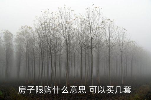 房產限購，房子限購政策