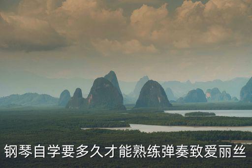鋼琴自學要多久才能熟練彈奏致愛麗絲