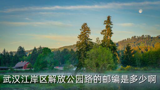 武漢江岸區解放公園路的郵編是多少啊