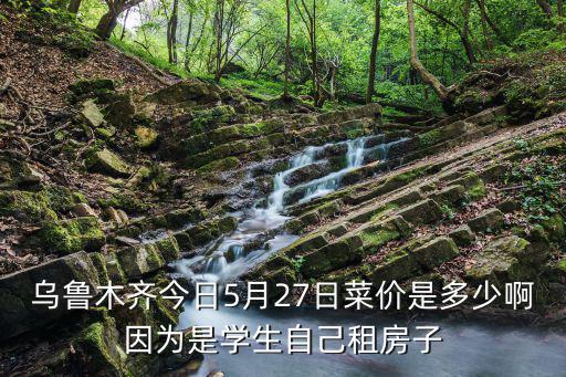 天天查菜價，烏魯木齊今日5月27日菜價是多少啊因為是學生自己租房子