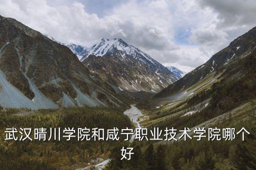 武漢晴川學(xué)院和咸寧職業(yè)技術(shù)學(xué)院哪個好