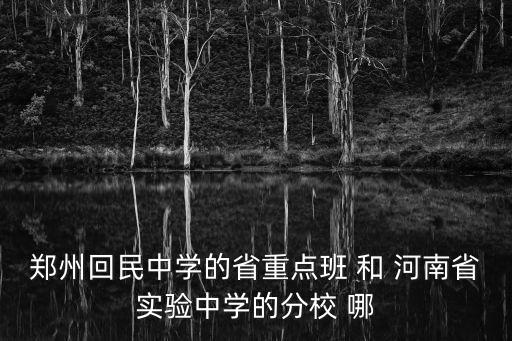 鄭州回民中學的省重點班 和 河南省實驗中學的分校 哪