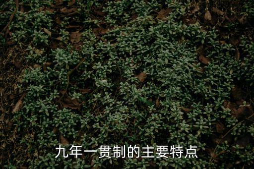 九年一貫制的主要特點(diǎn)