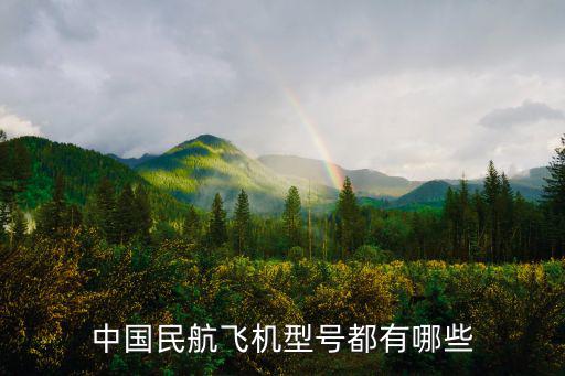 中國民航飛機型號都有哪些