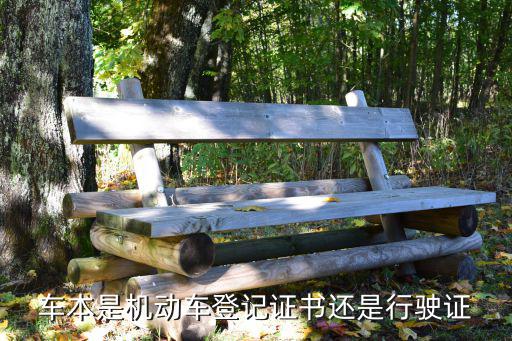 車本是機動車登記證書還是行駛證