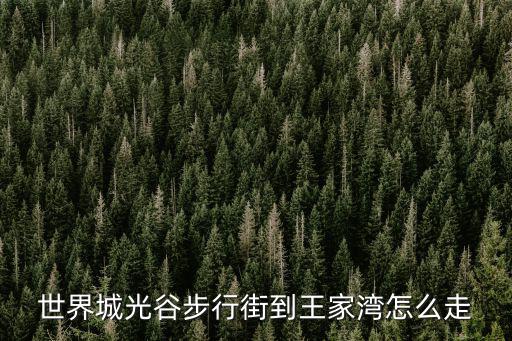 世界城光谷步行街到王家灣怎么走