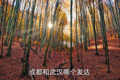 成都和武漢哪個發達