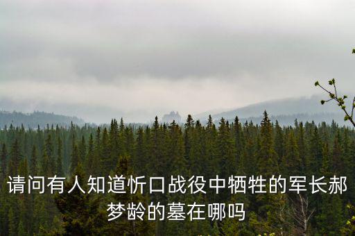 請問有人知道忻口戰役中犧牲的軍長郝夢齡的墓在哪嗎