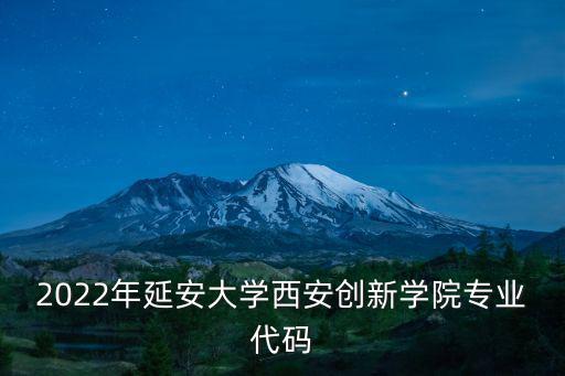 2022年延安大學西安創(chuàng)新學院專業(yè)代碼