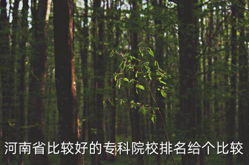 河南省大專院校排名，河南大專類院校中有哪幾所實力 較強