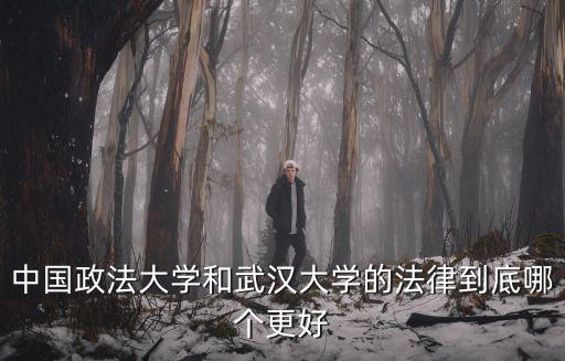 中國(guó)政法大學(xué)和武漢大學(xué)的法律到底哪個(gè)更好