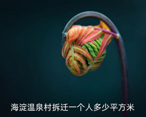 海淀溫泉村拆遷一個人多少平方米