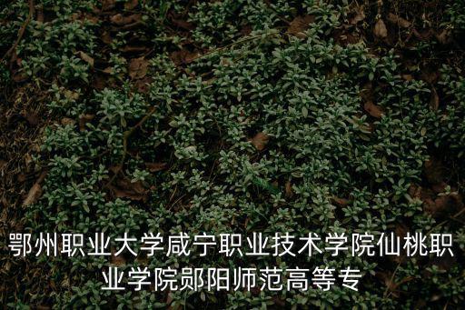 鄂州職業(yè)大學咸寧職業(yè)技術學院仙桃職業(yè)學院鄖陽師范高等專