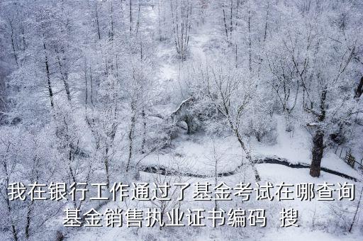 基金證書查詢，基金從業(yè)資格考試怎么查詢