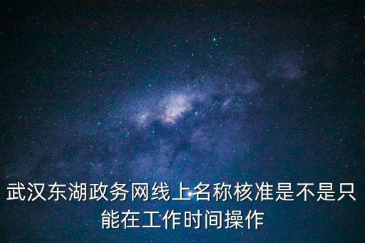 武漢東湖政務網線上名稱核準是不是只能在工作時間操作