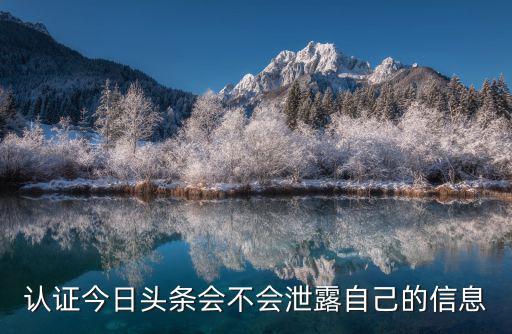 字節跳動招聘，認證今日頭條會不會泄露自己的信息