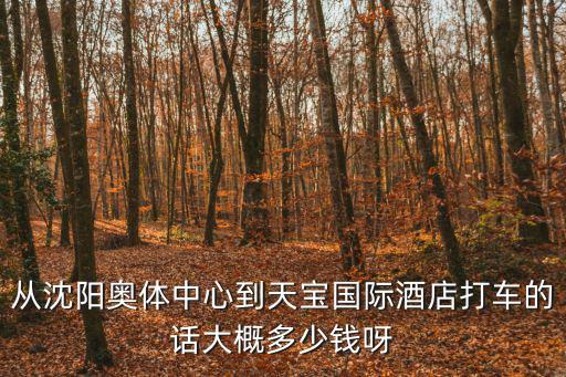 從沈陽奧體中心到天寶國際酒店打車的話大概多少錢呀