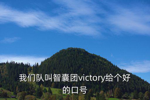 智慧團建網，我們隊叫智囊團victory給個好的口號