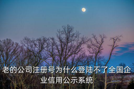 老的公司注冊號為什么登陸不了全國企業信用公示系統