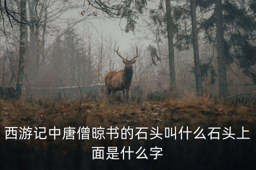 曬經石，吃了曬經石的經文的鳥叫什么名字