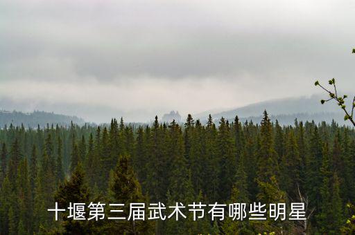 十堰第三屆武術節有哪些明星