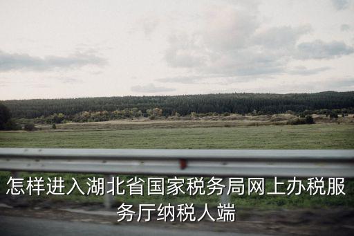 怎樣進(jìn)入湖北省國(guó)家稅務(wù)局網(wǎng)上辦稅服務(wù)廳納稅人端