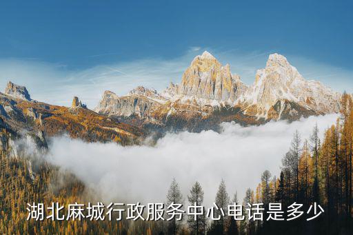 湖北麻城行政服務(wù)中心電話是多少