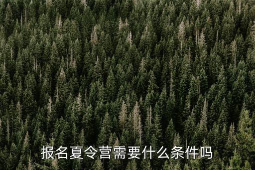 報名夏令營需要什么條件嗎