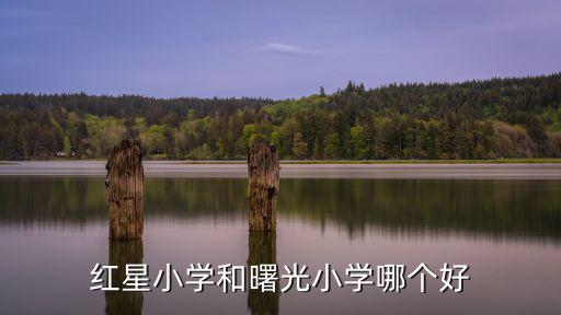 紅星小學，紅星小學和曙光小學哪個好