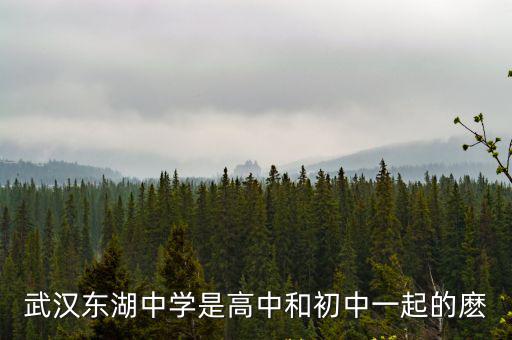 武漢東湖中學是高中和初中一起的麼