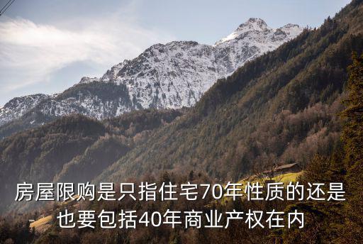 房屋限購(gòu)是只指住宅70年性質(zhì)的還是也要包括40年商業(yè)產(chǎn)權(quán)在內(nèi)