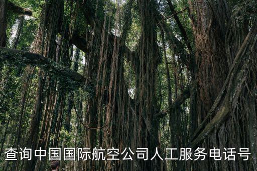 查詢中國國際航空公司人工服務電話號