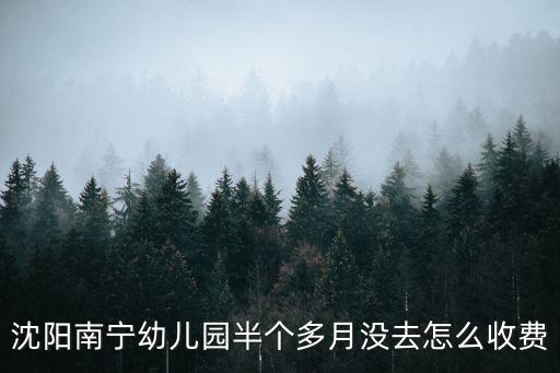 沈陽南寧幼兒園半個(gè)多月沒去怎么收費(fèi)