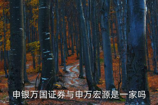 申銀萬國證券，申銀萬國 證券總部在哪里