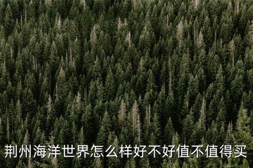 荊州海洋世界怎么樣好不好值不值得買