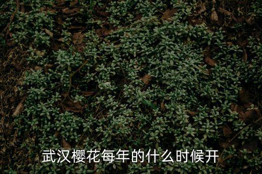 武漢櫻花每年的什么時候開