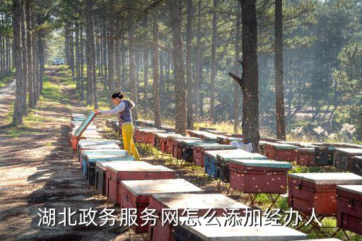 湖北政務服務網怎么添加經辦人