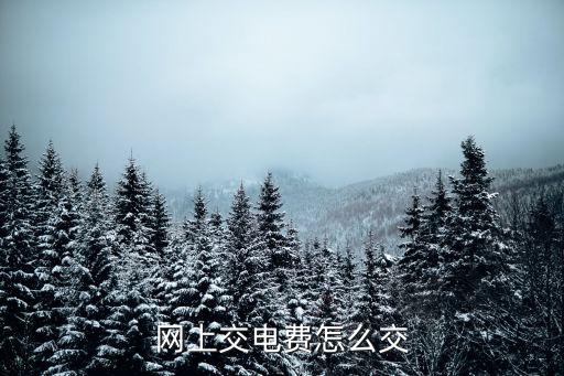 網上交電費怎么交