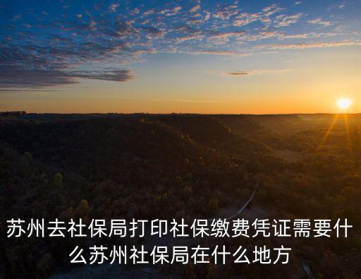 社保繳費憑證在哪里打印，沈陽企業(yè)社保繳費明細(xì)在哪打印