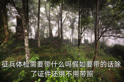 征兵體檢需要帶什么嗎假如要帶的話除了證件還用不用帶照