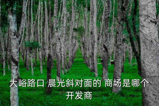 大峪路口 晨光斜對面的 商場是哪個開發(fā)商