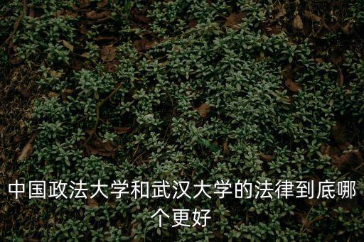 武漢政法大學，武漢政法大學招不招網屆生