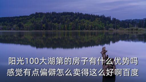陽光100大湖第的房子有什么優勢嗎感覺有點偏僻怎么賣得這么好啊百度