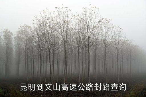 怎么查高速是否封路，查詢高速路是否封閉 能打110嗎