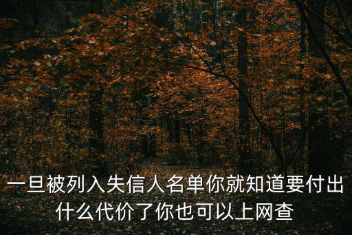 一旦被列入失信人名單你就知道要付出什么代價(jià)了你也可以上網(wǎng)查