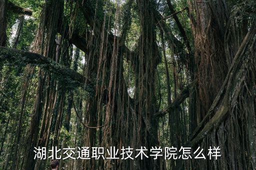 湖北交通職業技術學院怎么樣