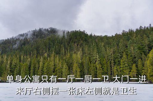 單身公寓只有一廳一廚一衛(wèi) 大門一進來廳右側(cè)擺一張床左側(cè)就是衛(wèi)生