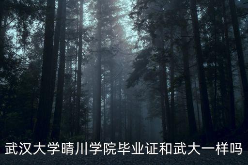武漢大學(xué)晴川學(xué)院畢業(yè)證和武大一樣嗎