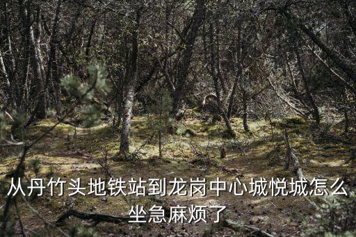 中城悅城，中城悅城學(xué)區(qū)房2018年能開學(xué)嗎